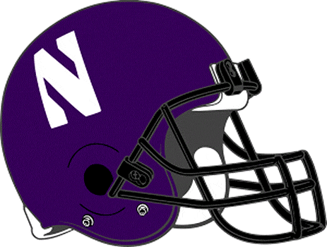 Northwestern Wildcats 1994-Pres Helmet Logo diy fabric transfer